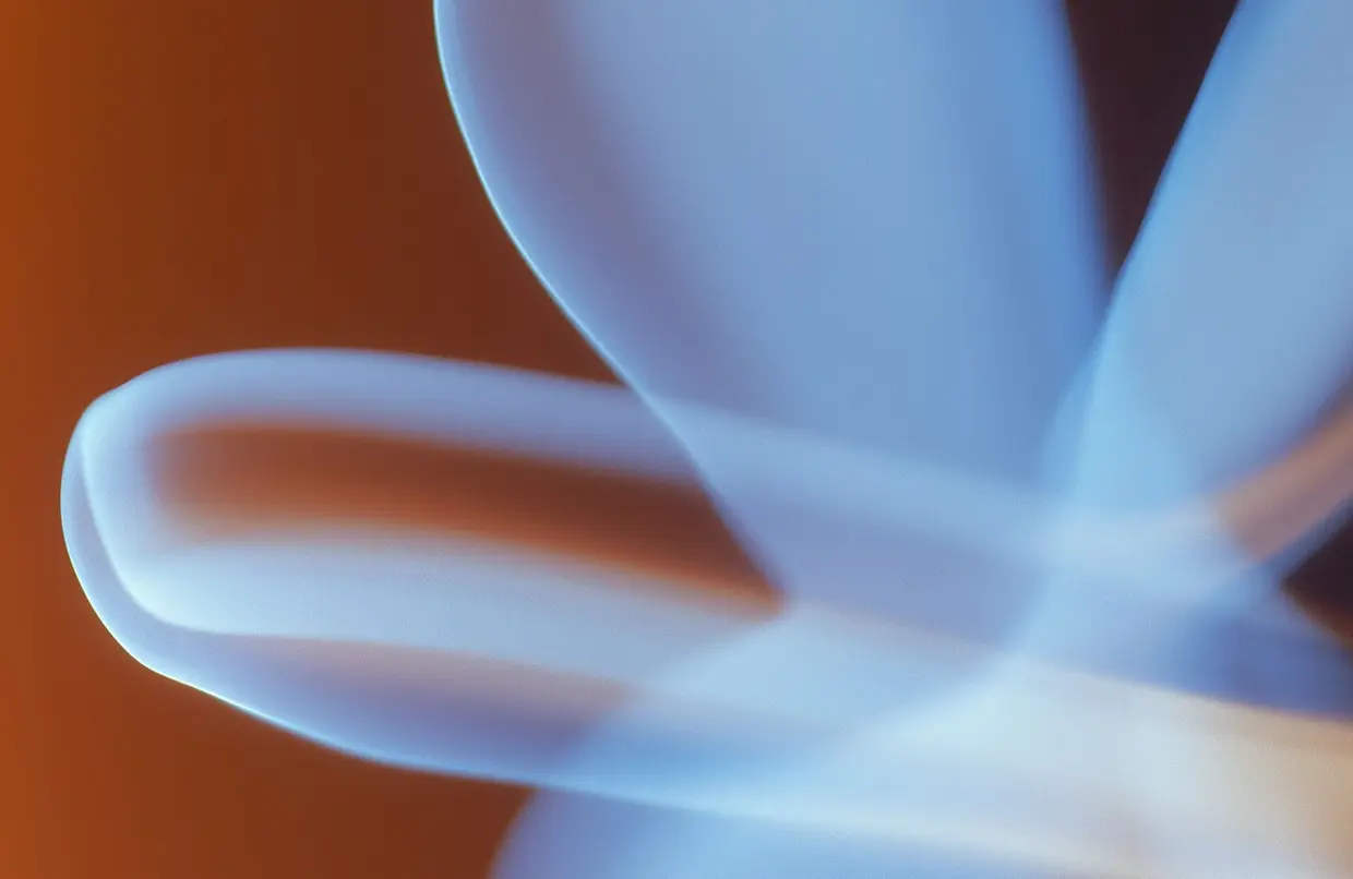 mainvisual image